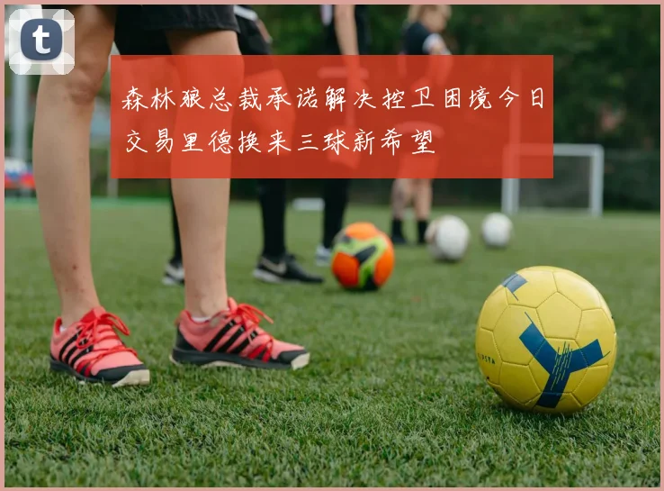 森林狼总裁承诺解决控卫困境今日交易里德换来三球新希望